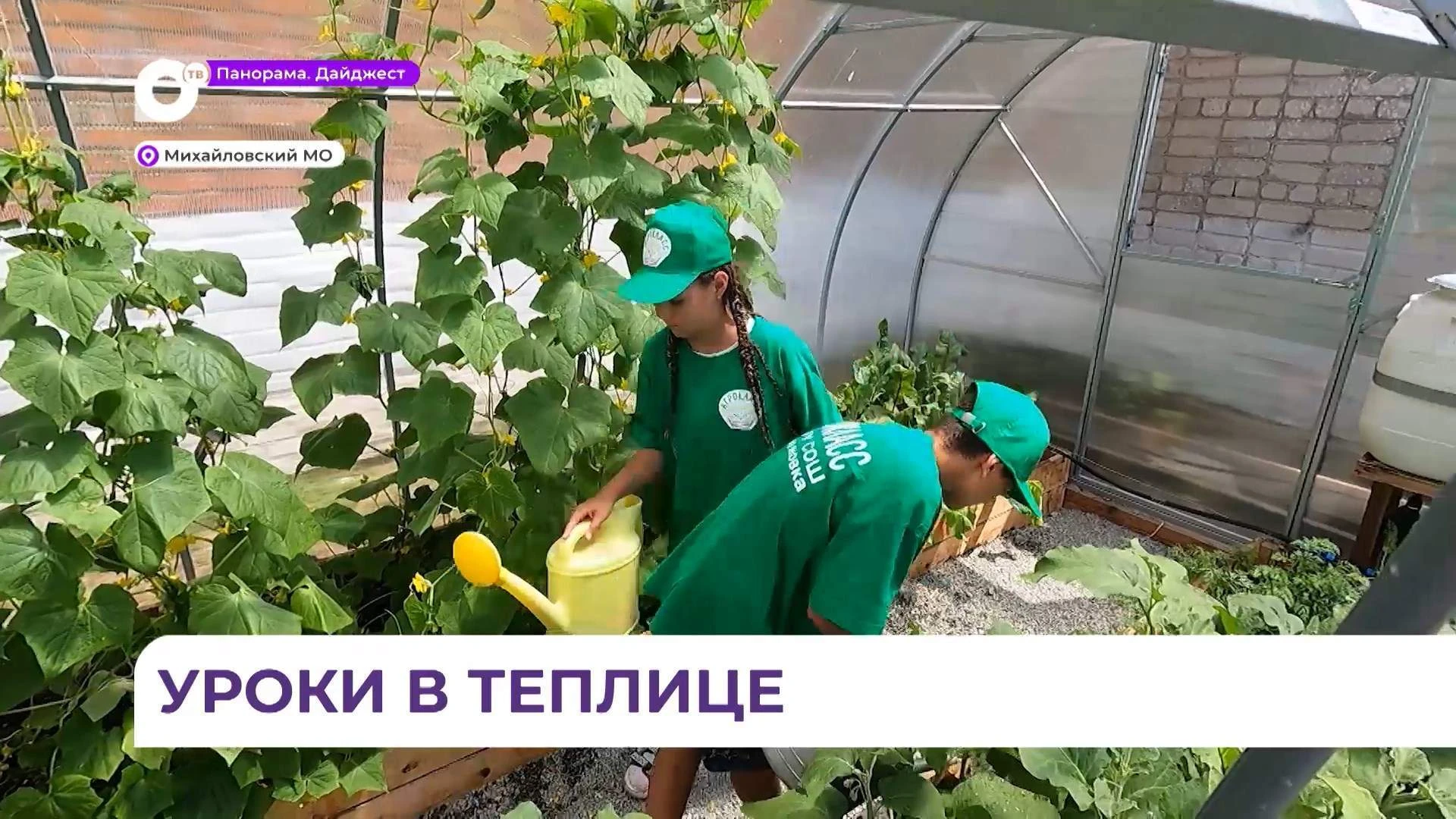 Ученики агрокласса школы села Ивановка выращивают овощи и ставят эксперименты