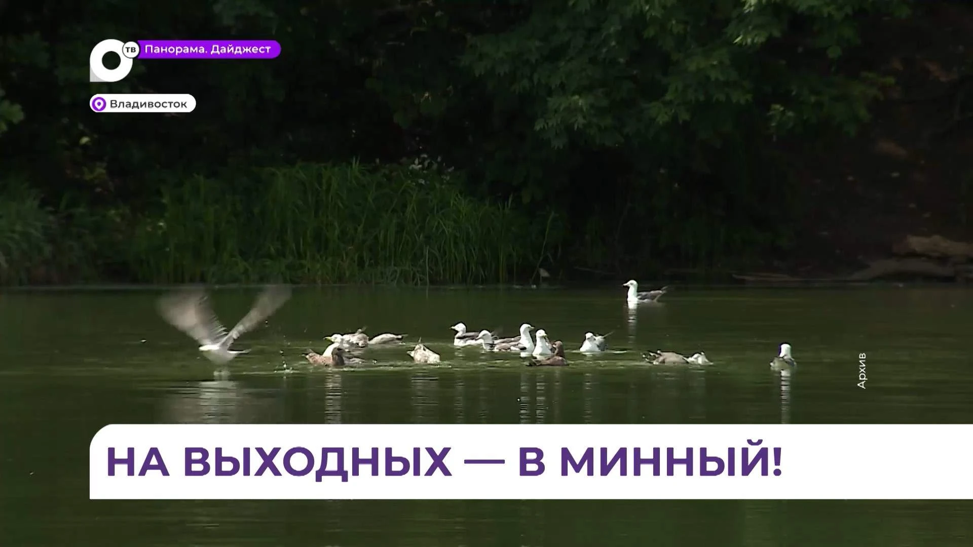 Обновлённую часть парка Минного городка откроют уже в эту субботу