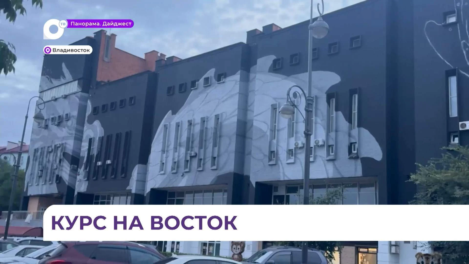 Новый арт-объект на стене «Олимпийца» заинтриговал владивостокцев