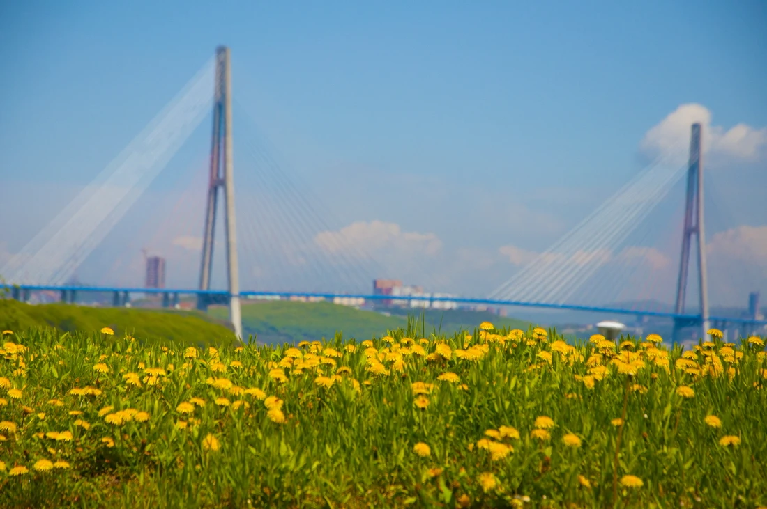 Спрос на отдых в Приморье есть у людей в погонах, сотрудников ВПК и студентов ДВФУ