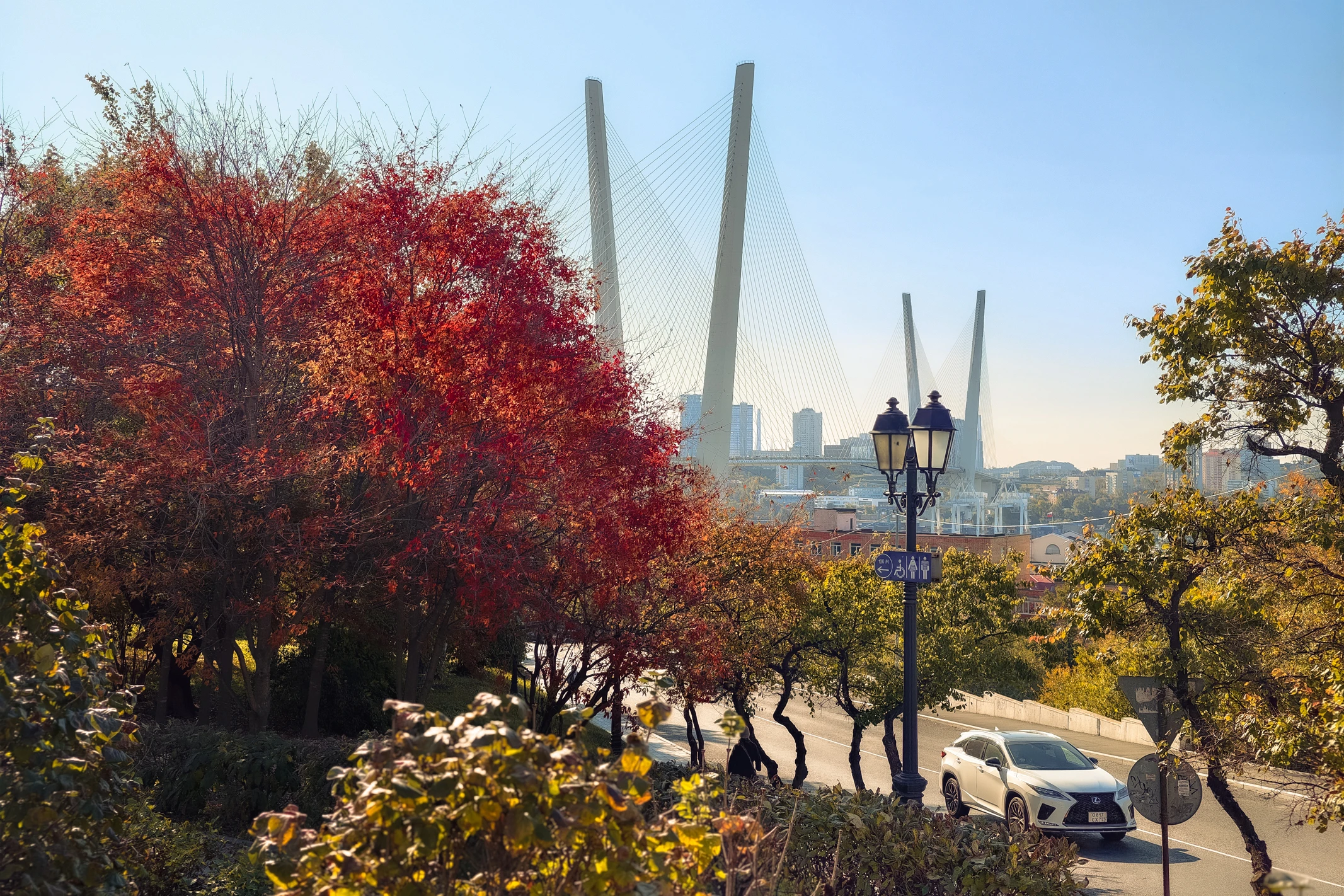 «Твой проект»: жители Владивостока предложили 107 идей по благоустройству