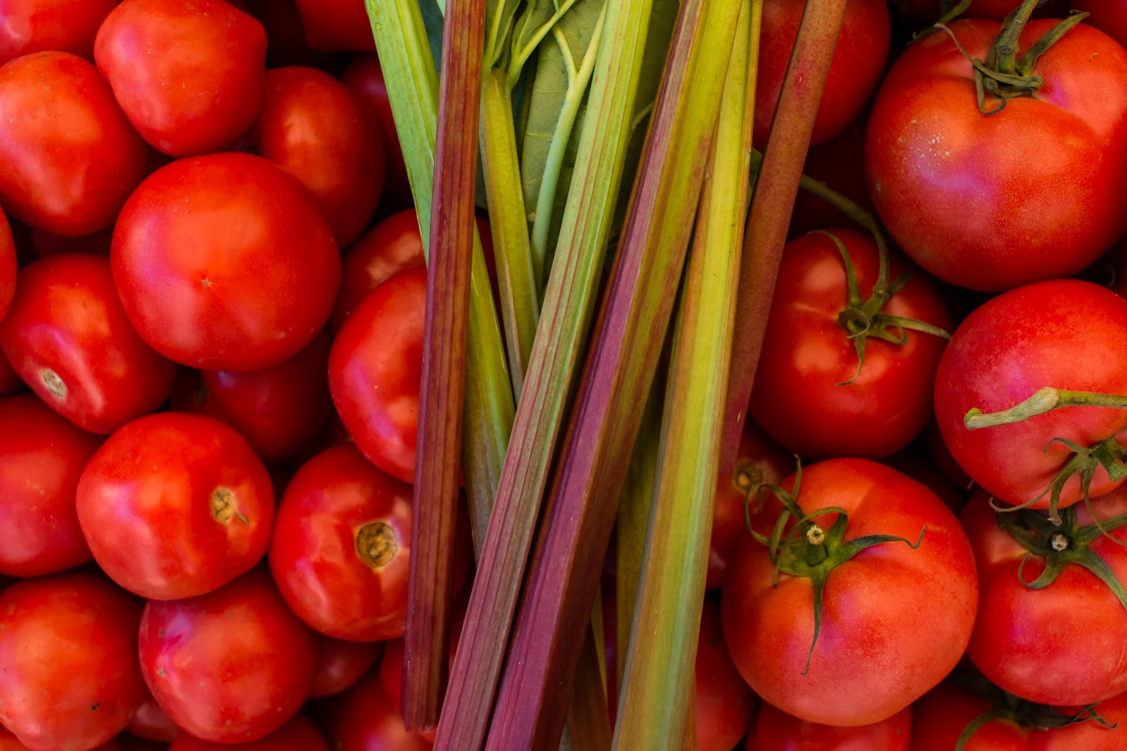 В Черниговке устроят «томатный переполох»