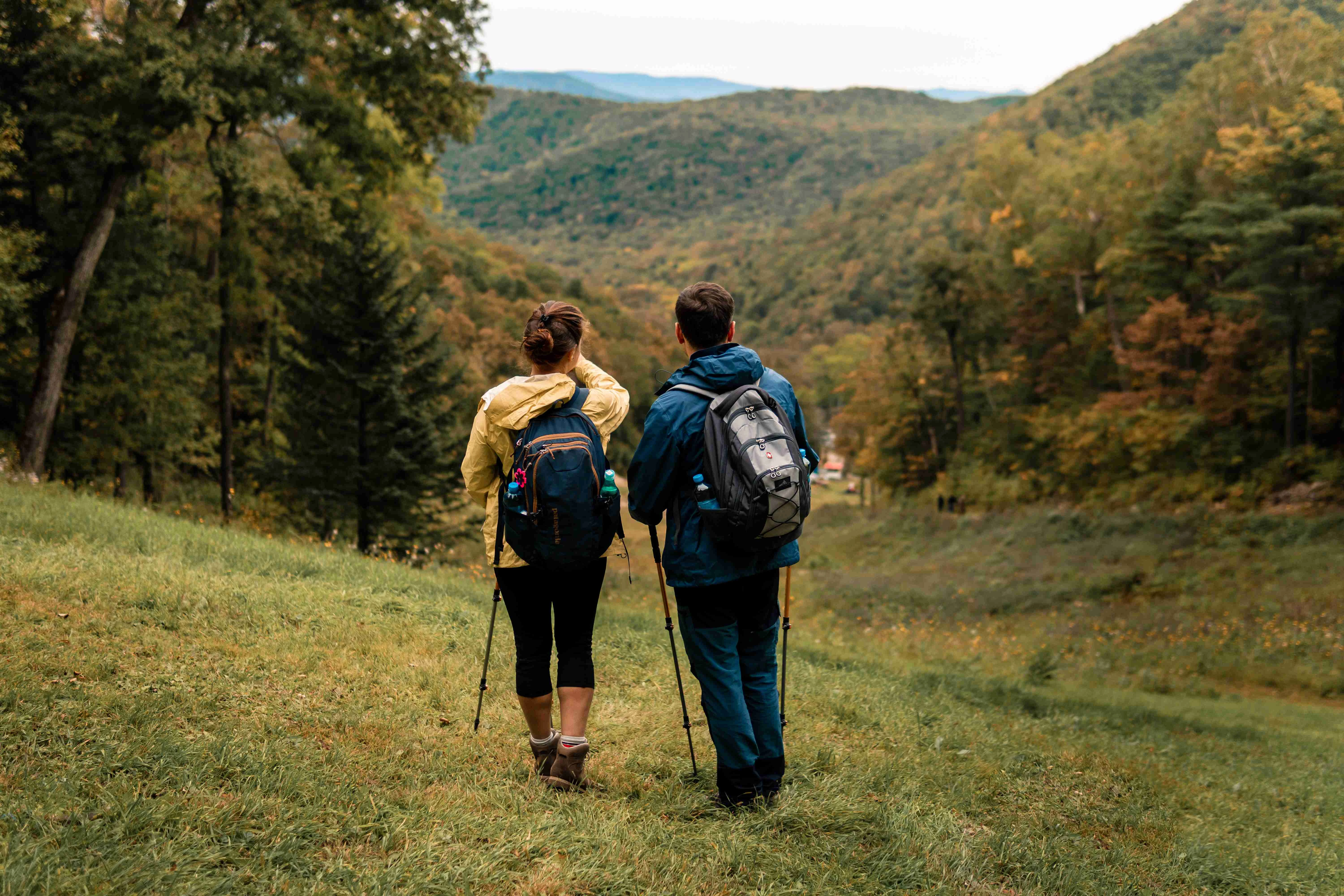Приморским инструкторам-проводникам предстоит сесть за парту