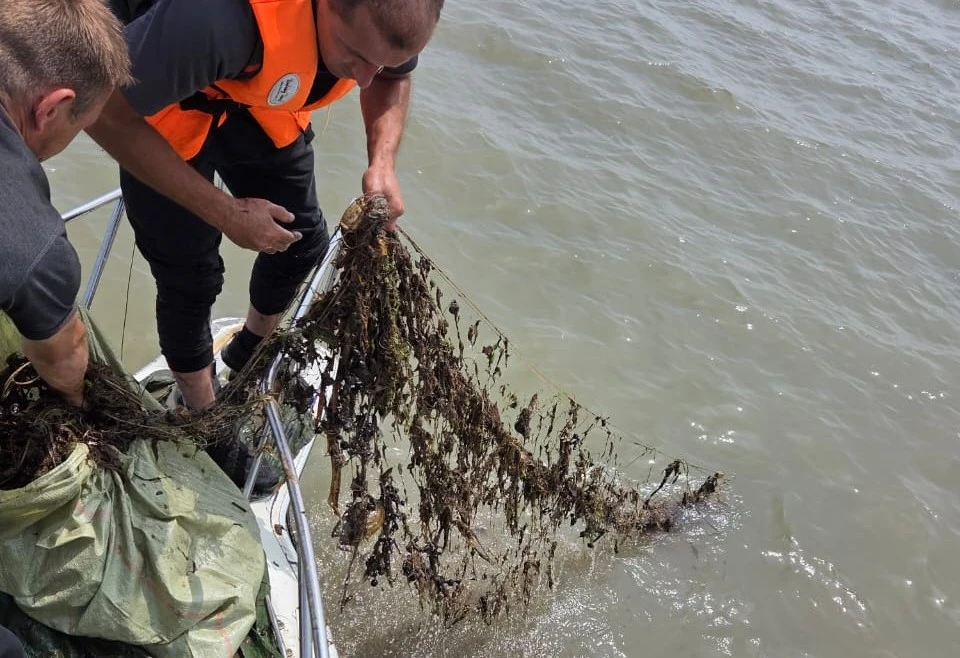 Приморское озеро Ханка очистят от мусора
