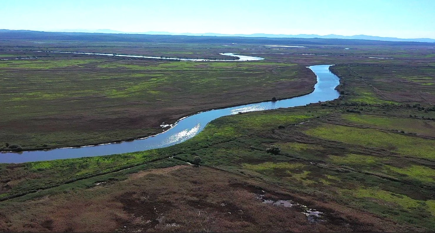 «Цифровое Приморье» провело аэроразведку на озере Ханка