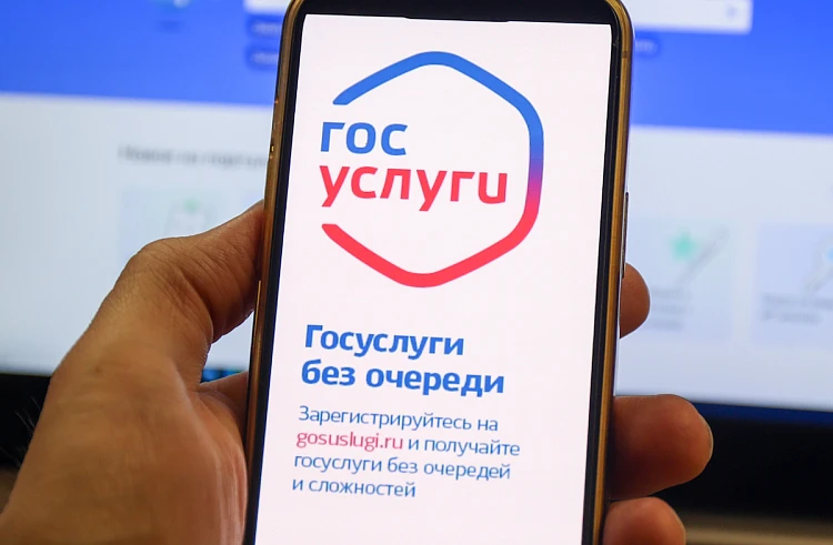 Что делать, если взломали аккаунт на Госуслугах, рассказали приморцам