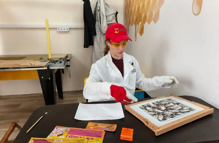 В колледже Приморья прошёл чемпионат по пчеловодству среди школьников