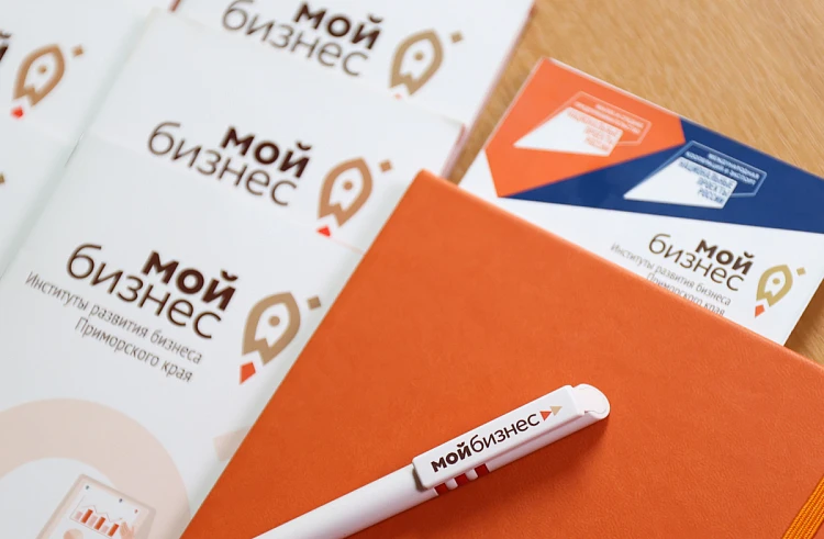 Более 1 миллиарда рублей получили предприниматели Приморья