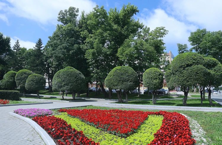 Миллион за идею: молодых архитекторов Приморья зовут на конкурс «Благоустрой!»
