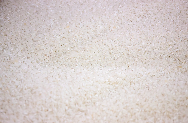 Почти 60 тысяч тонн риса собрали в Приморье