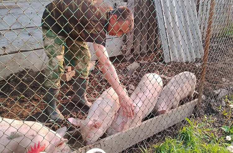 Участник СВО в Приморье открыл птицеферму с помощью господдержки