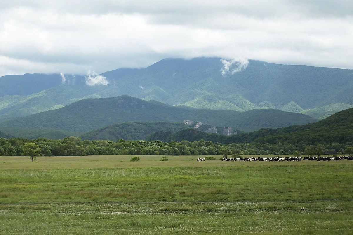 Приморье – лидер по предоставлению дальневосточных гектаров
