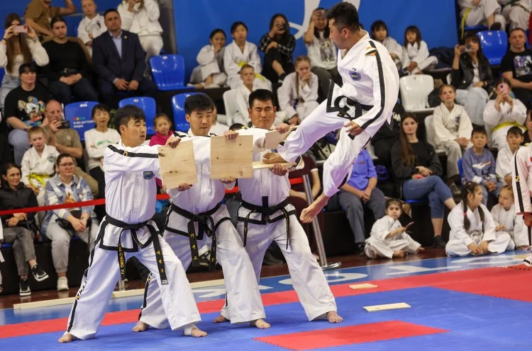 Соревнования по тхэквондо ИТФ с участием спортменов КНДР состоялись в приморской столице