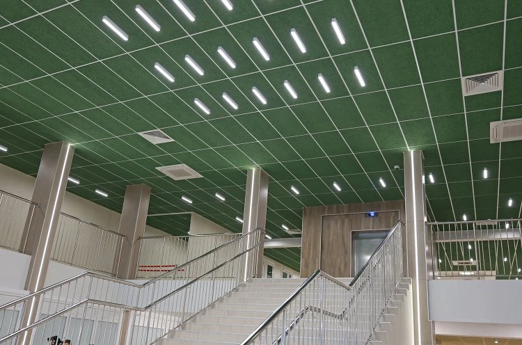 Футбольное поле на потолке: «Олимпиец» продолжает обновляться