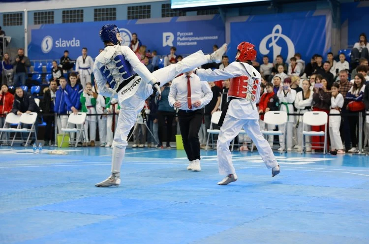Сильнейшие тхэквондисты страны встретились во Владивостоке на «Кубке Дальнего Востока»