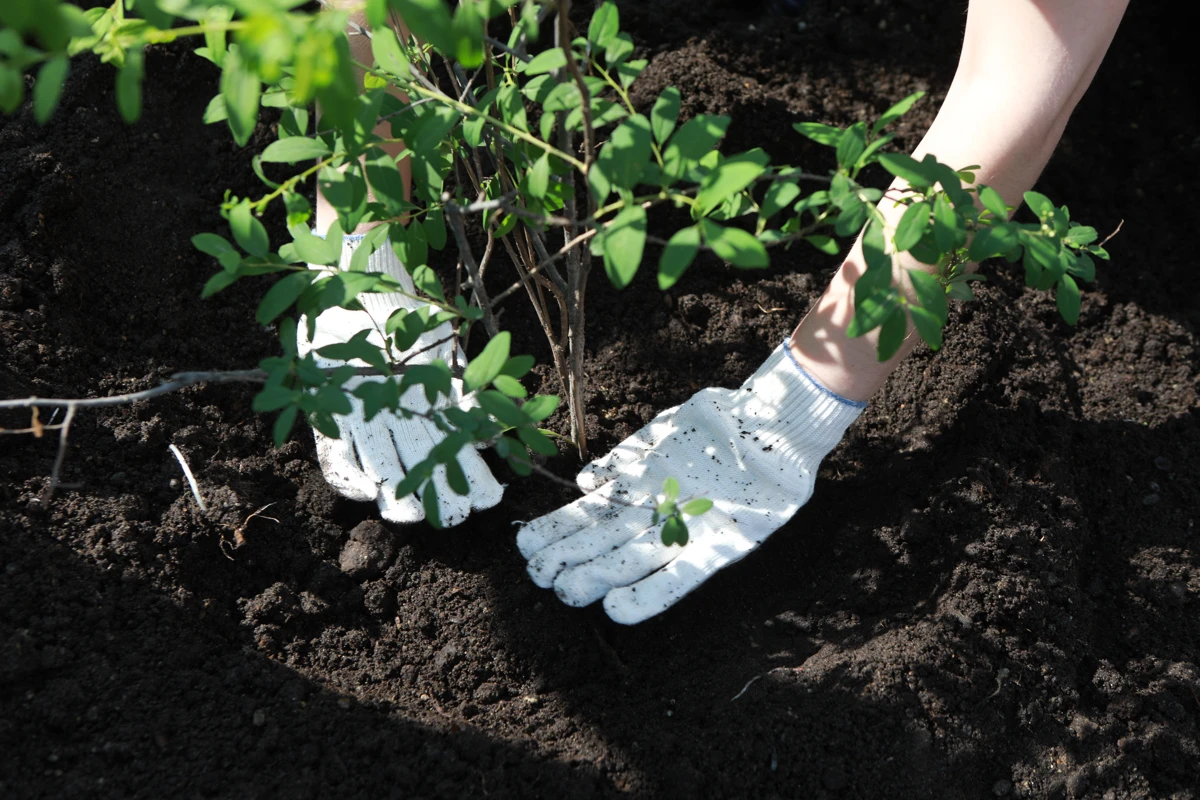 Более 1,5 тысячи приморских подростков устроились на официальную работу этим летом