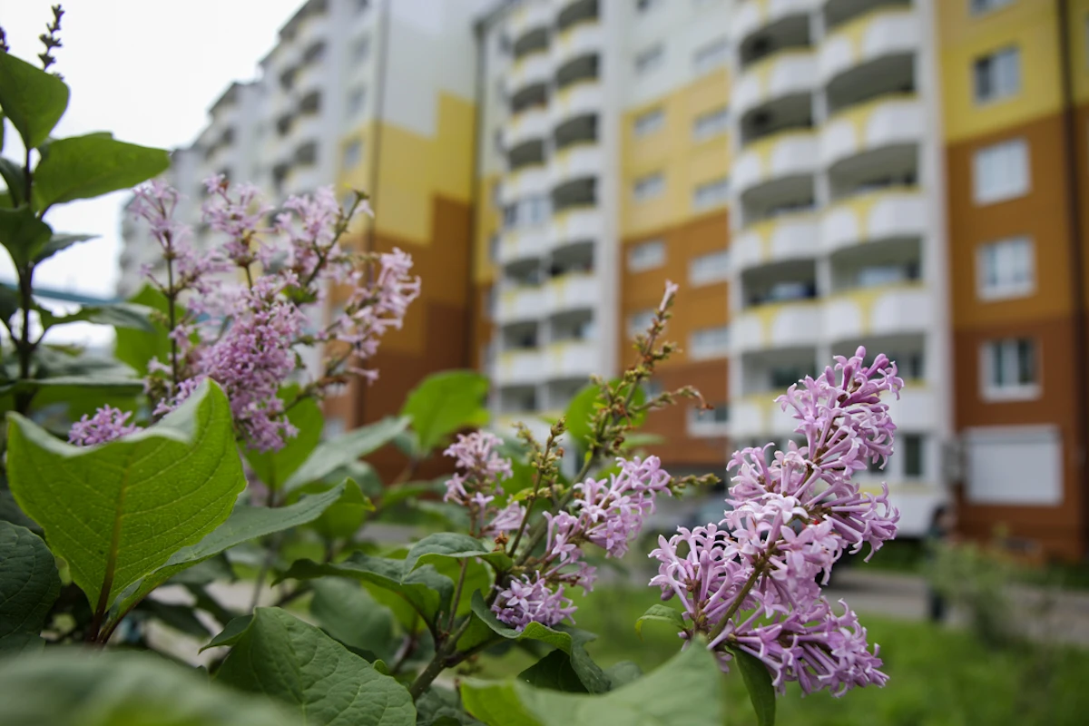 Приморье – в лидерах по строительству жилья в России