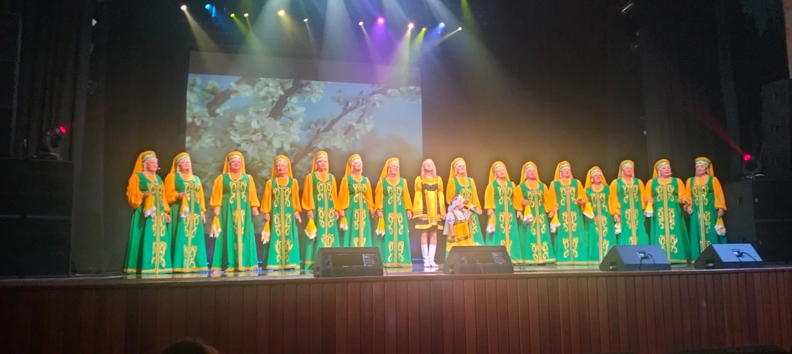 В Арсеньеве состоялся концерт ко Дню Приморского края