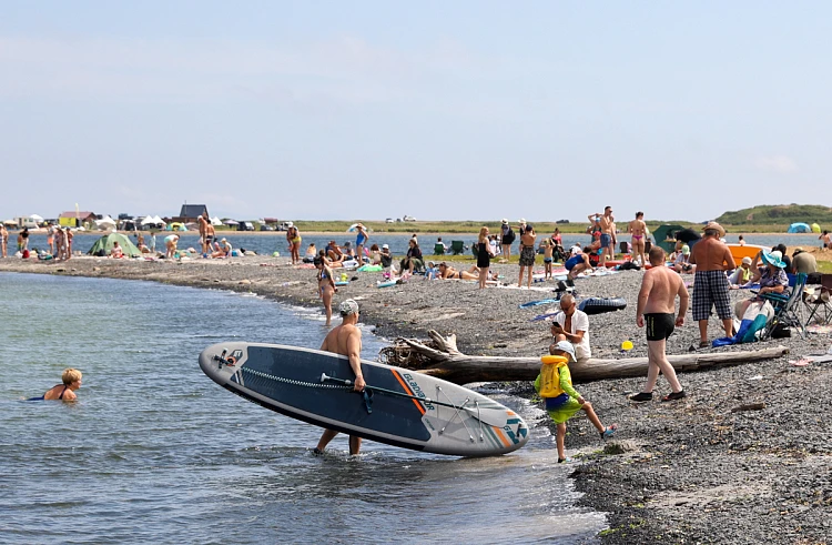 Осторожнее в море: до 20 обращений в сутки поступает в скорую помощь Владивостока после контакта с медузами