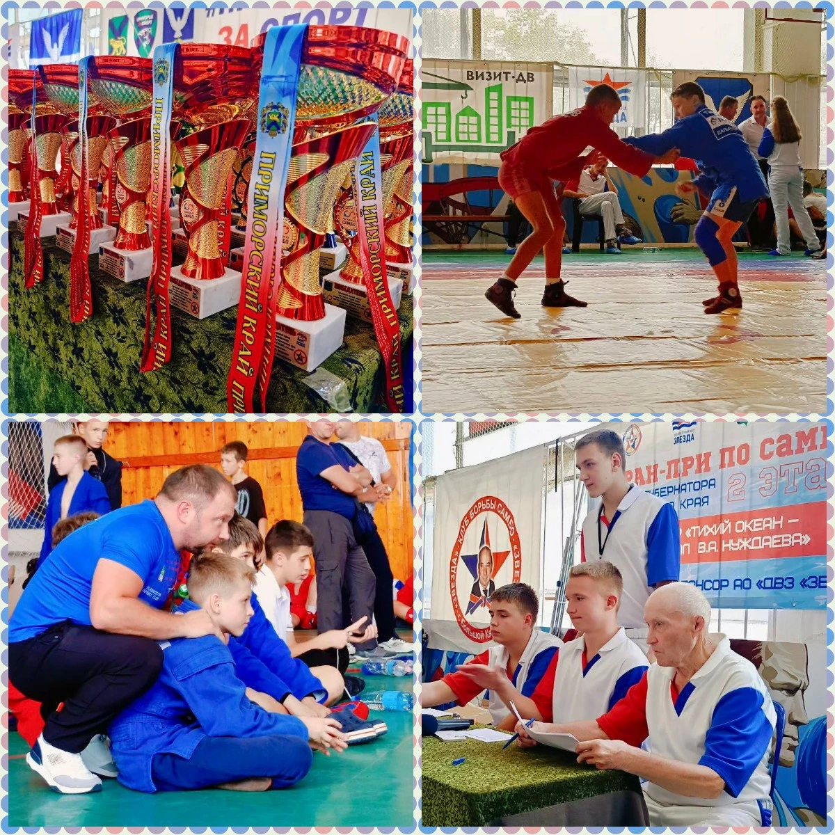 Гран-при по самбо Кубка Губернатора Приморского края турнир «Тихий океан- мемориал В.А.Нуждаева»