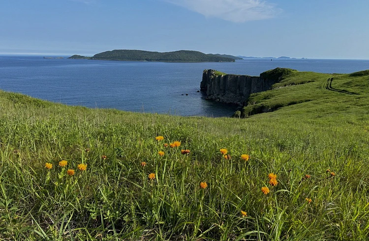 За ролики о летних путешествиях приморцы могут получить 3 миллиона рублей