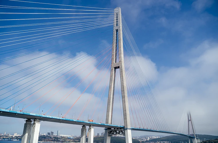 Запреты и ограничения вводятся в Приморье на период проведения ВЭФ