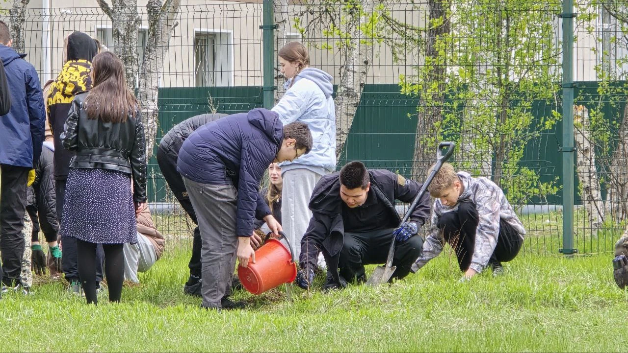 Тернейский округ присоединился к всероссийскому Дню посадки леса