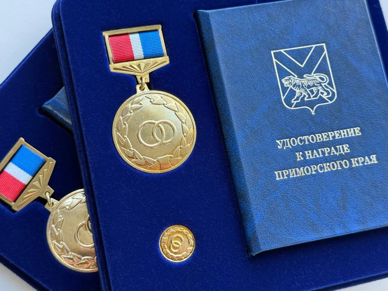 Четыре супружеские пары из Лесозаводска получили почетный знак «Семейная доблесть»