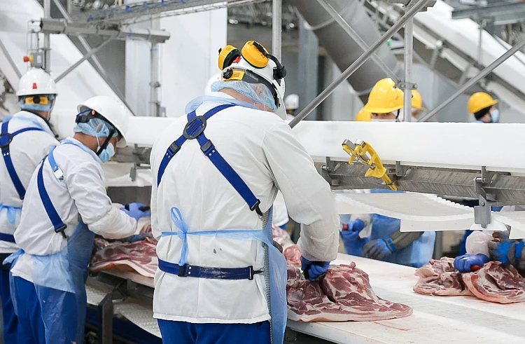 Более чем на 30% увеличилось производство мяса в Приморье