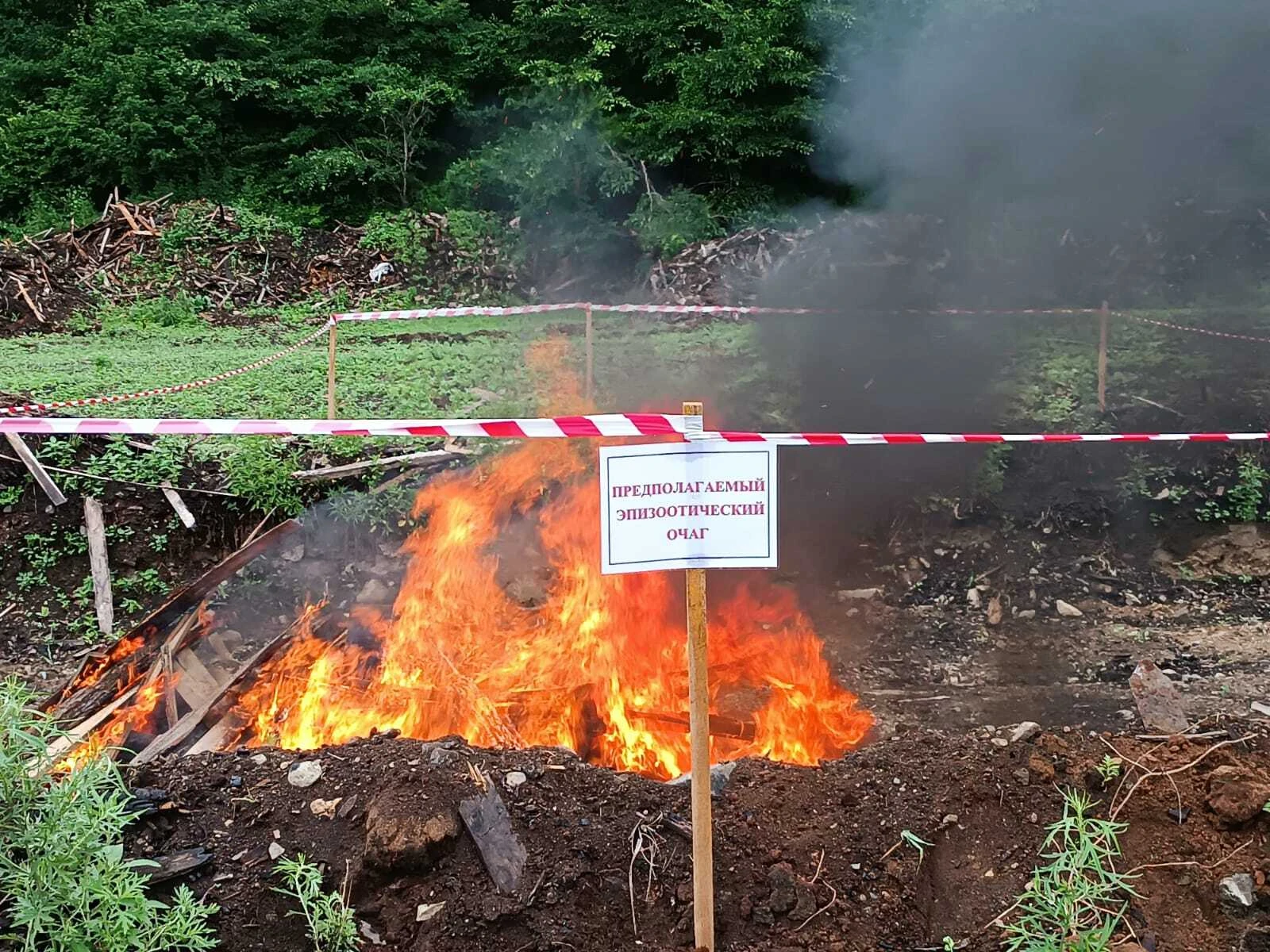 В Дальнегорске прошли учения по ликвидации опасного заболевания